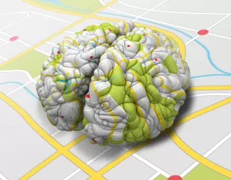 Brain Map Image