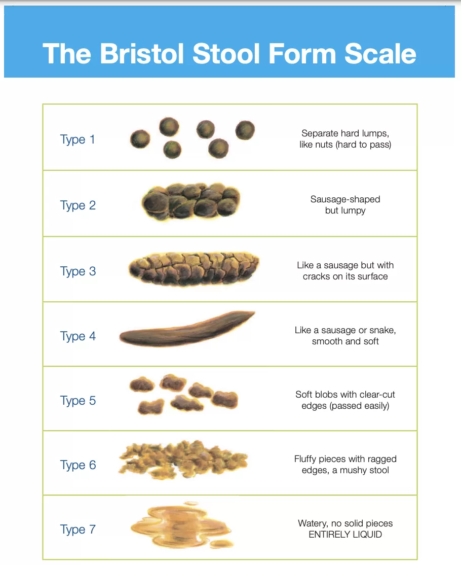 Bristol Stool Form Scale