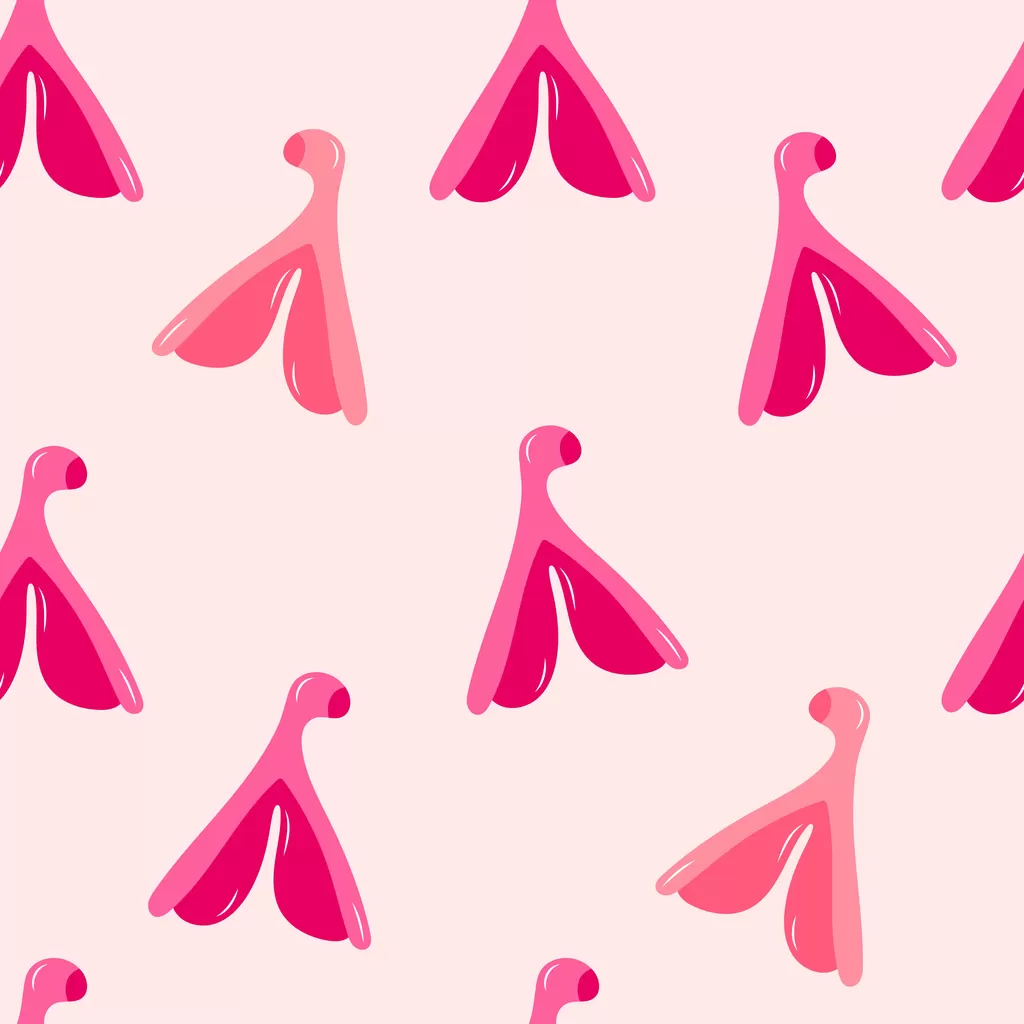Curious about the Clitoris